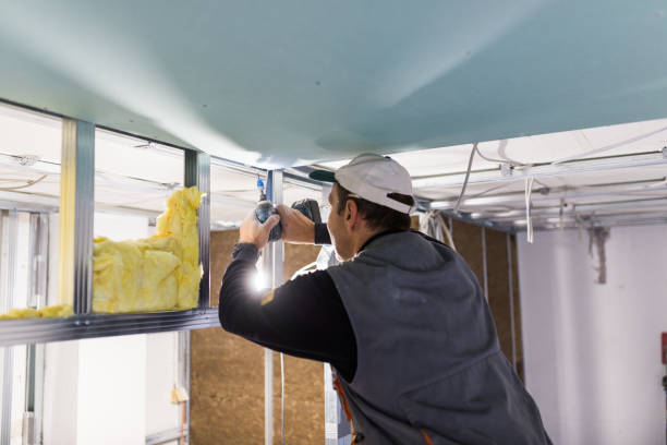 Best Insulation for New Construction  in White Pigeon, MI