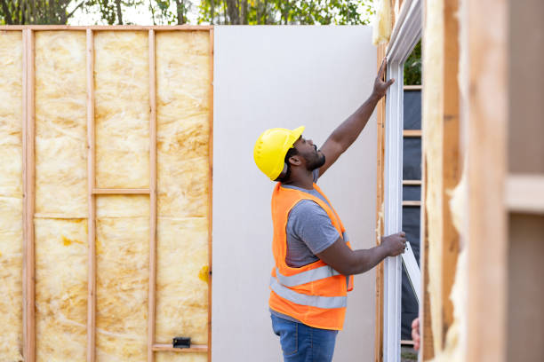Best Local Insulation Services  in White Pigeon, MI