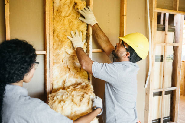 Best Crawl Space Insulation  in White Pigeon, MI
